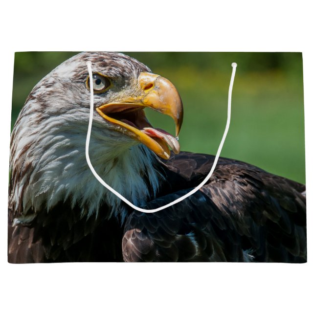 Bolsa De Regalo Grande fotografía de águila (Anverso)