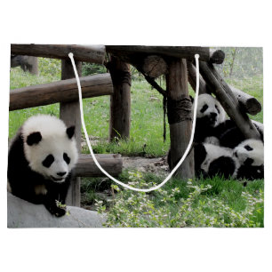 Bolsa De Regalo Grande Fotografía de Panda