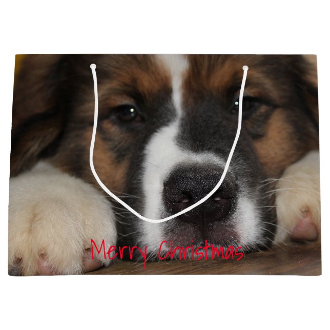 Bolsa De Regalo Grande Fotografía de perro mascota (Anverso)