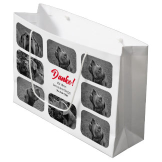 Bolsa De Regalo Grande Fotos Propias de Grandes Daneses