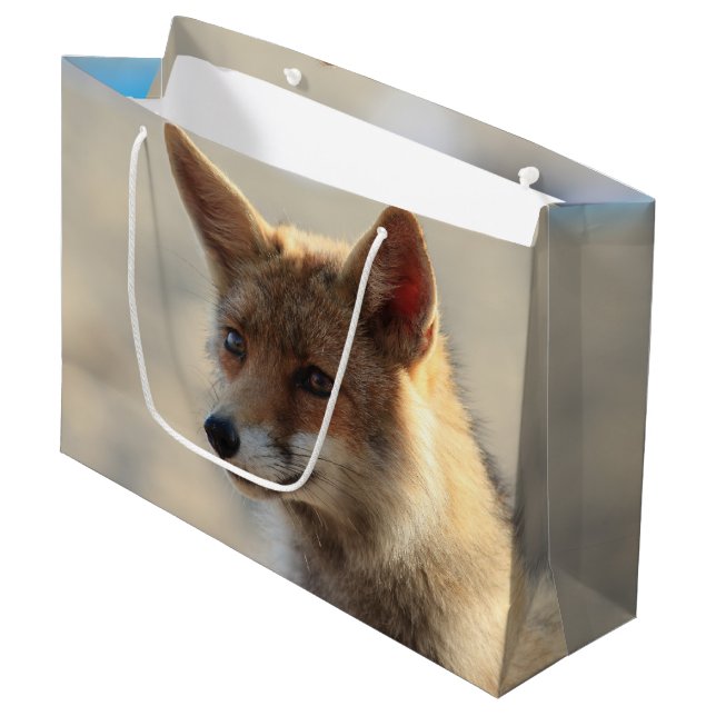 Bolsa De Regalo Grande Fox (Angulo Anverso)