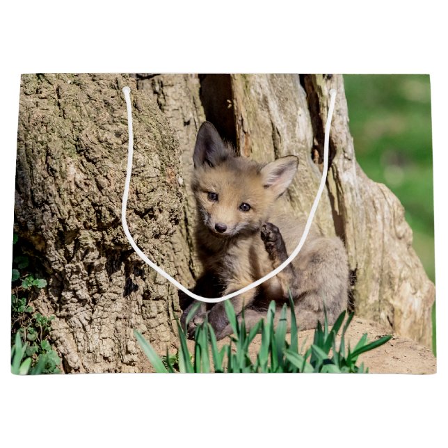 Bolsa De Regalo Grande Fox Kit en el Valle de Hudson (Anverso)