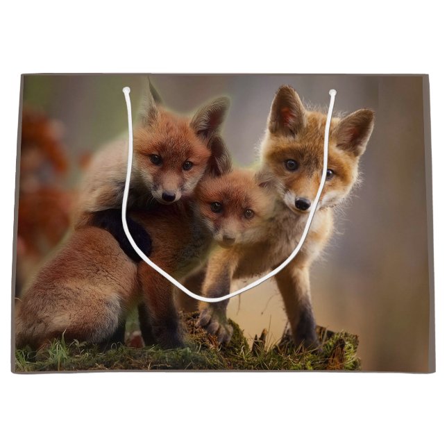 Bolsa De Regalo Grande Foxy Triplets (Anverso)