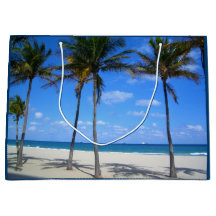 Ft Lauderdale Florida Sand Beach & Palm Trees