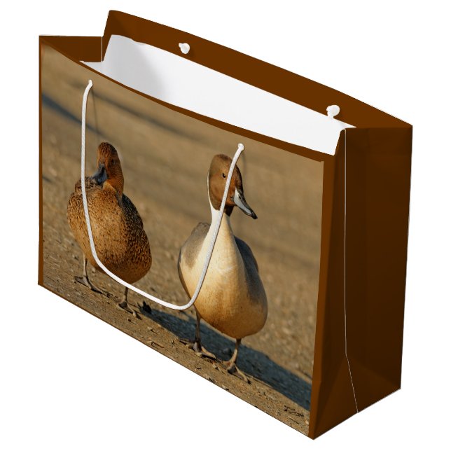 Bolsa De Regalo Grande Funny American / Northern Pintail Ducks Gothic (Angulo Anverso)