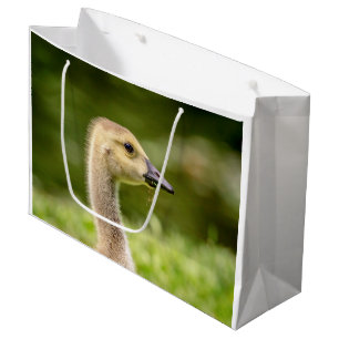 Bolsa De Regalo Grande Ganso Canadiense (Gosling)