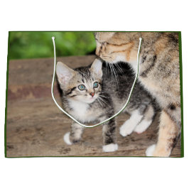 Bolsa De Regalo Grande Gatito