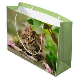Bolsa De Regalo Grande Gatito lindo del Coon de Maine, abrigo
