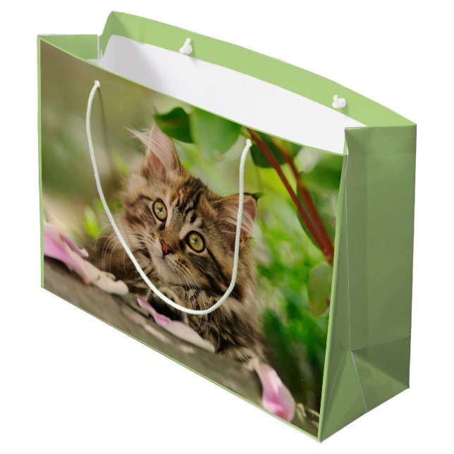 Bolsa De Regalo Grande Gatito lindo del Coon de Maine, abrigo (Angulo reverso)