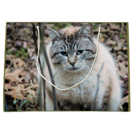 Bolsa De Regalo Grande Gato