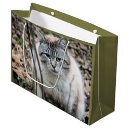 Bolsa De Regalo Grande Gato