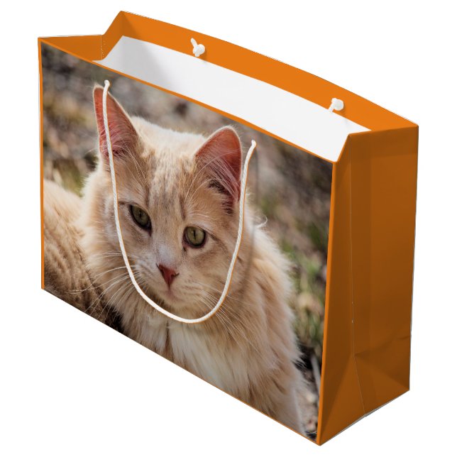 Bolsa De Regalo Grande Gato (Angulo reverso)