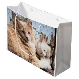 Bolsa De Regalo Grande Gatos