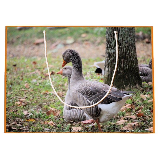 Bolsa De Regalo Grande Geese (Anverso)