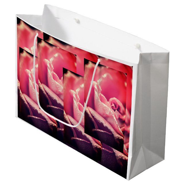 Bolsa De Regalo Grande Gift wrapping bag (Angulo Anverso)