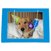 Golden retriever soñoliento en cumpleaños de los
