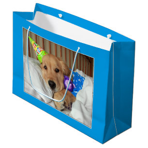 Bolsa De Regalo Grande Golden retriever soñoliento en cumpleaños de los
