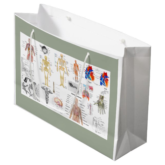 Bolsa De Regalo Grande Gráficos de anatomía humana (Angulo Anverso)