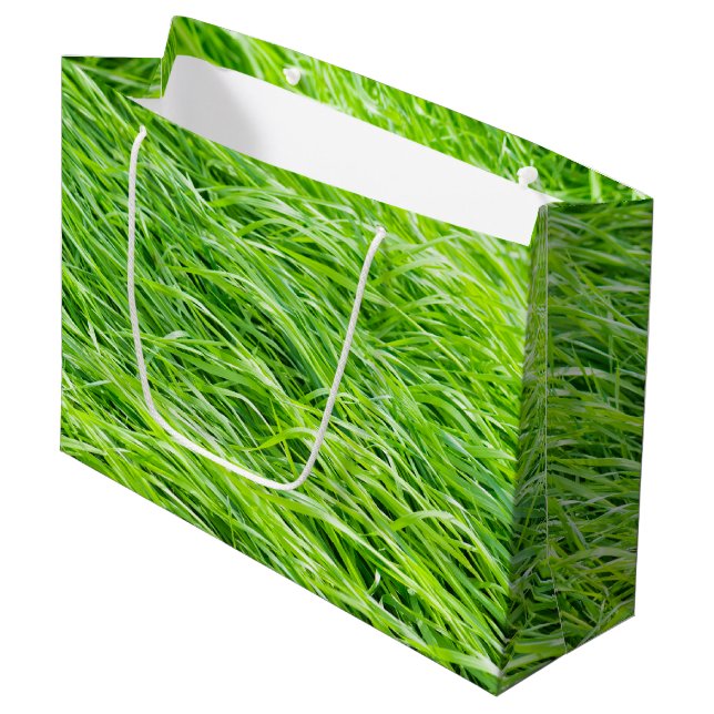 Bolsa De Regalo Grande Grasa (Angulo Anverso)