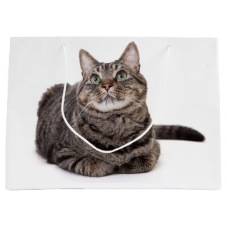 Bolsa De Regalo Grande Gray Tabby Cat