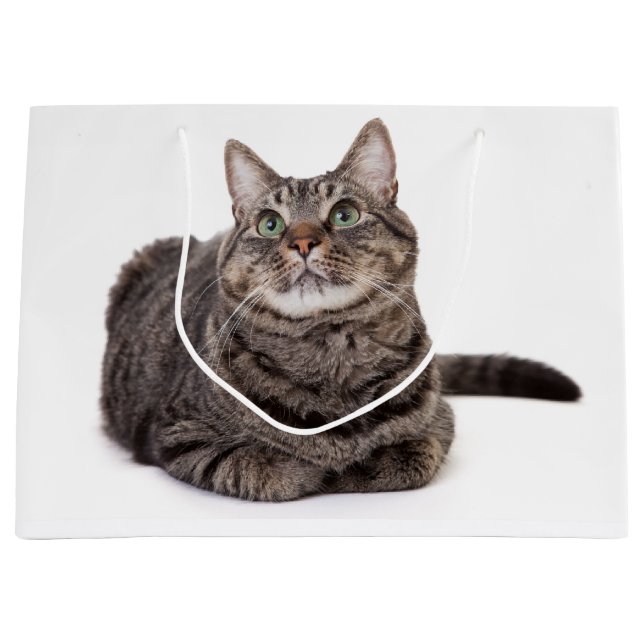 Bolsa De Regalo Grande Gray Tabby Cat (Anverso)