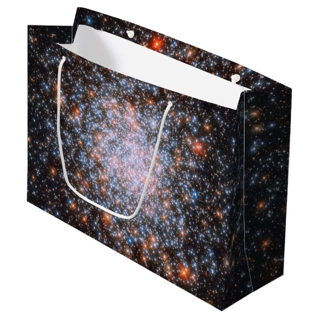 Bolsa De Regalo Grande Grupo Globular NGC 1866 (Angulo Anverso)