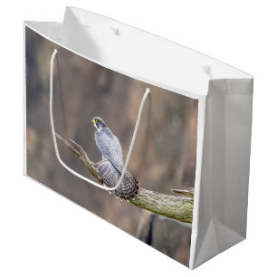 Bolsa De Regalo Grande Halcón Peregrino en el Parque Interestatal de Pali