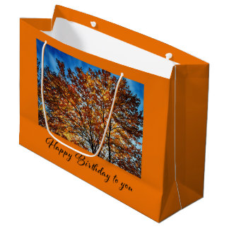 Bolsa De Regalo Grande Happy Birthday To You Gift Bag