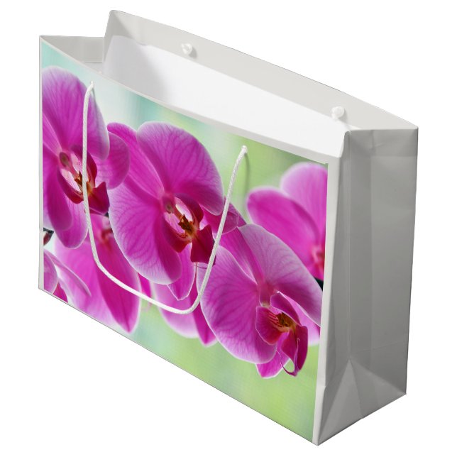 Bolsa De Regalo Grande Hermosas orquídeas rosas (Angulo Anverso)