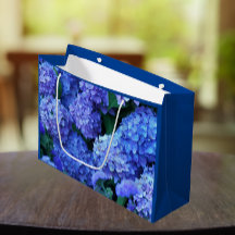 Hidrangea azul florecimiento floral