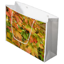 Hojas salvajes de la vid del otoño