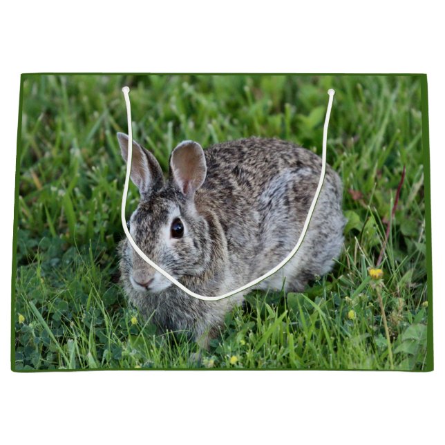 Bolsa De Regalo Grande Hoppy Bummy (Anverso)