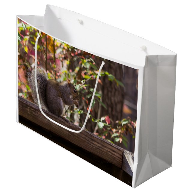 Bolsa De Regalo Grande Hora de comer para la ardilla (Angulo Anverso)