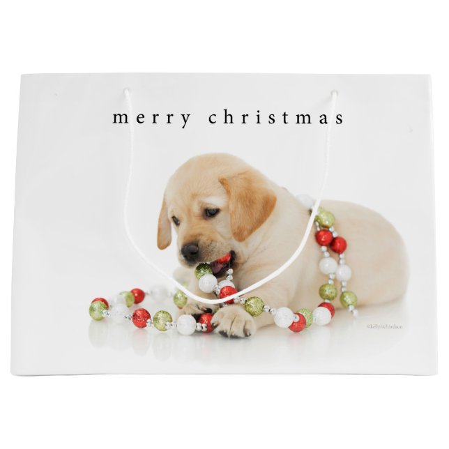 Bolsa De Regalo Grande Hora del recreo del perrito del día de fiesta (Anverso)