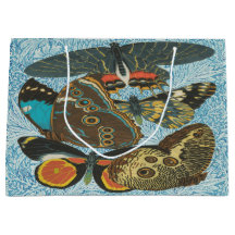 Ilustracion de mariposas antiguas de Francia-2