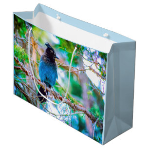 Bolsa De Regalo Grande Jay de Steller - Fotografía original