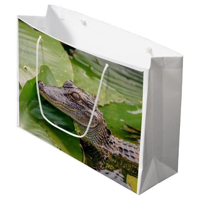 Bolsa De Regalo Grande Joven lagarto (Angulo Anverso)
