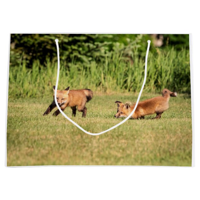Bolsa De Regalo Grande Juego de Red Fox Kits (Anverso)
