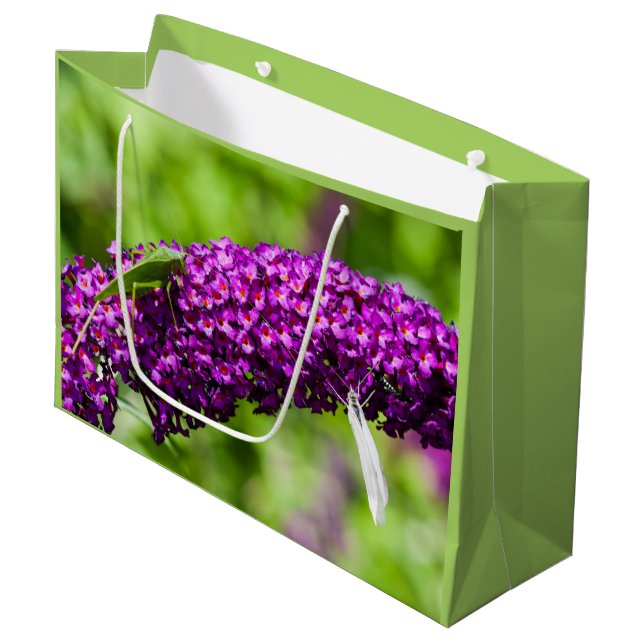 Bolsa De Regalo Grande katydid energy big (Angulo Anverso)