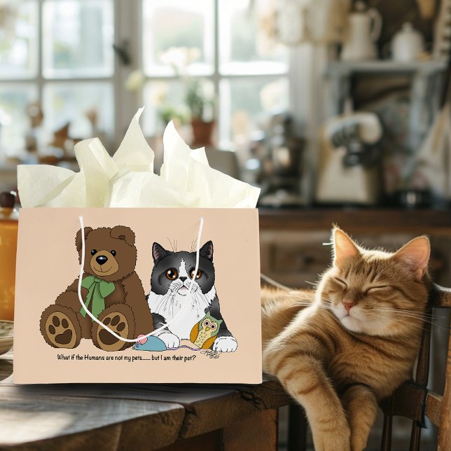Bolsa De Regalo Grande Kitty Not Pet (Subido por el creador)