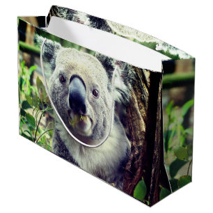 Bolsa De Regalo Grande Koala Bears