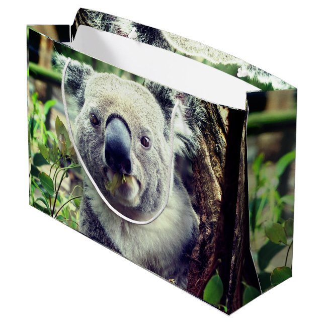 Bolsa De Regalo Grande Koala Bears (Angulo reverso)
