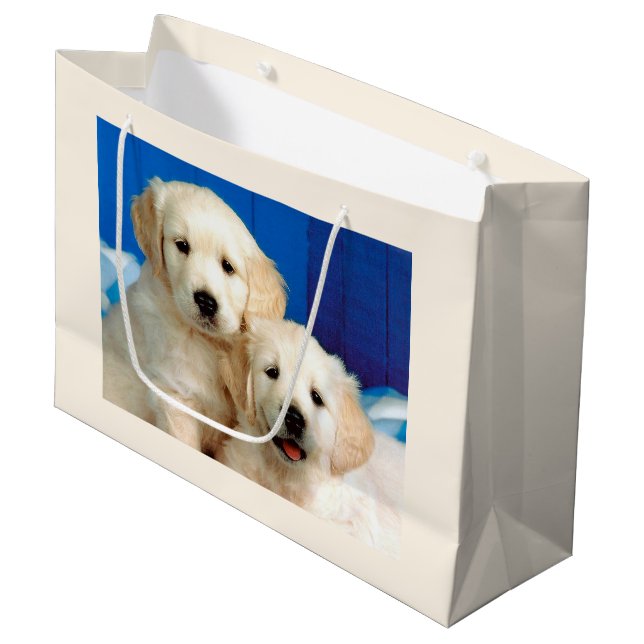 Bolsa De Regalo Grande Labrador (Angulo Anverso)
