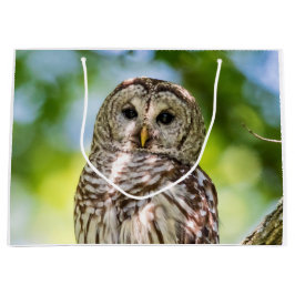 Bolsa De Regalo Grande Lechuza despojada