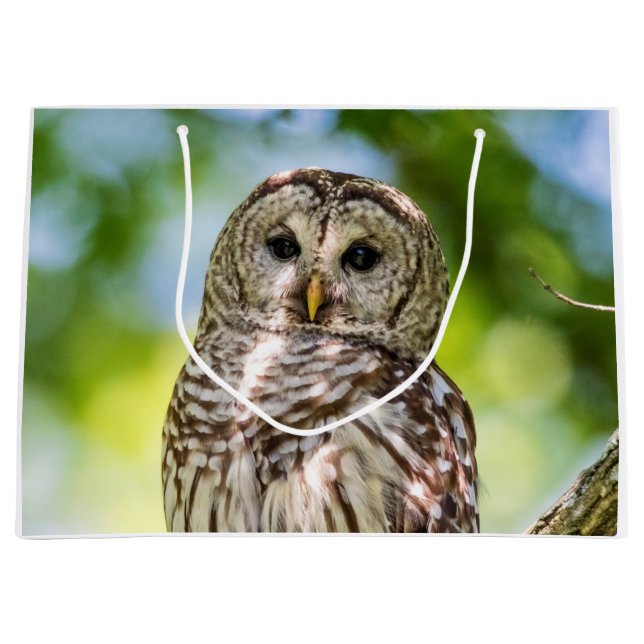 Bolsa De Regalo Grande Lechuza despojada (Anverso)