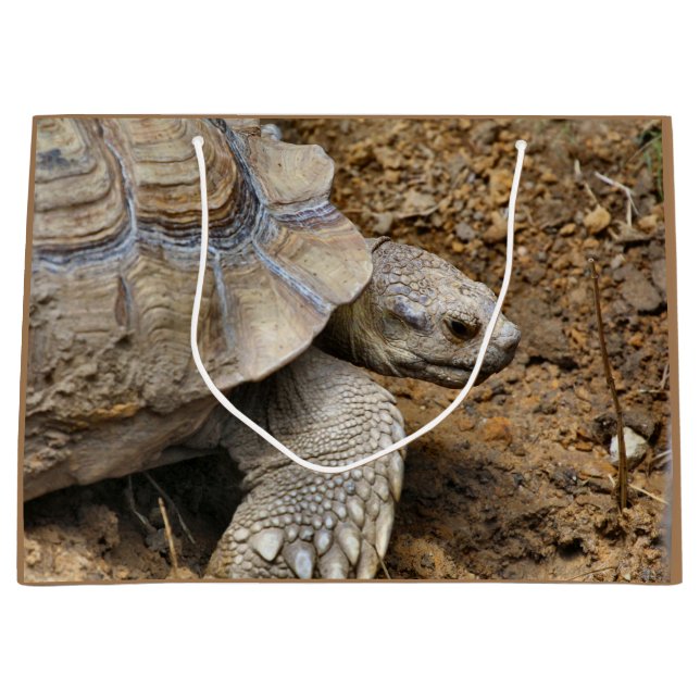 Bolsa De Regalo Grande Lento (Anverso)