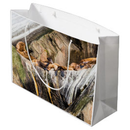 Bolsa De Regalo Grande Leones Marinos Sobre Las Rocas