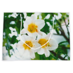 Bolsa De Regalo Grande Lilis blancas - Lilium candidum de flores de lirio