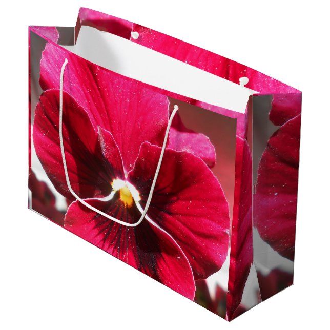 Bolsa De Regalo Grande Lucrezia (Angulo Anverso)