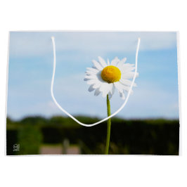 Bolsa De Regalo Grande Madelief rechtop geisoleerd in de natuur.